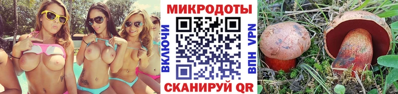 Галлюциногенные грибы GOLDEN TEACHER  наркотики  Жердевка 